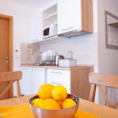 公寓 Paunovi Cardaci Sa Garaznim Mestom 科帕奥尼克