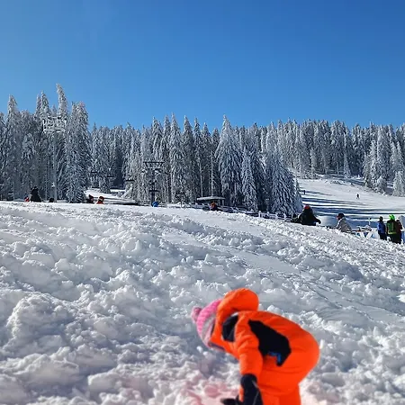 Paunovi Cardaci Sa Garaznim Mestom