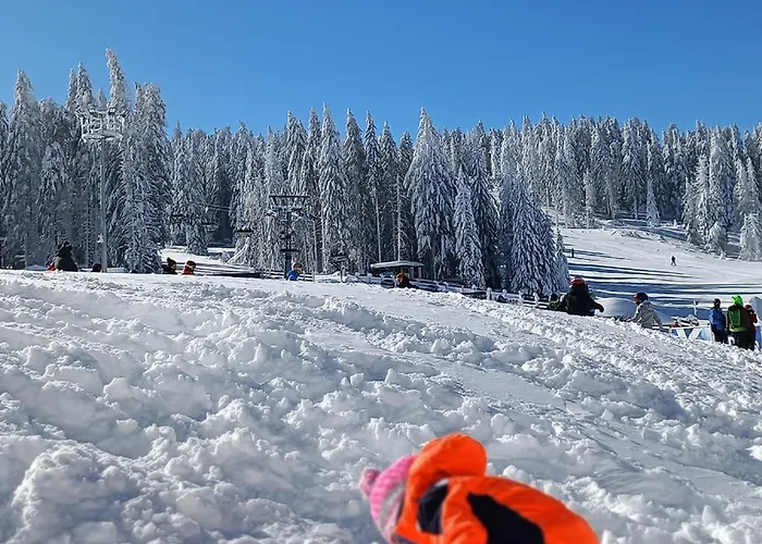 Paunovi Cardaci Sa Garaznim Mestom